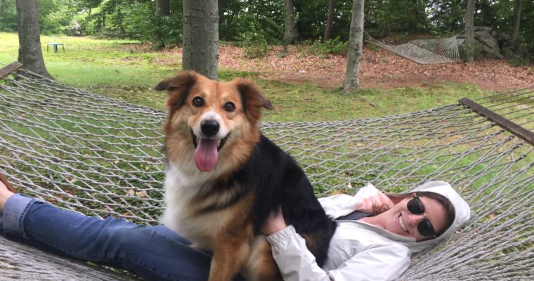 Top 10 Posts of 2020