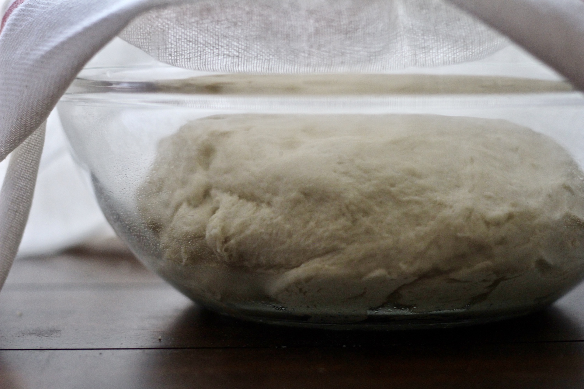 Glass bowl with dough covered in the bowl.