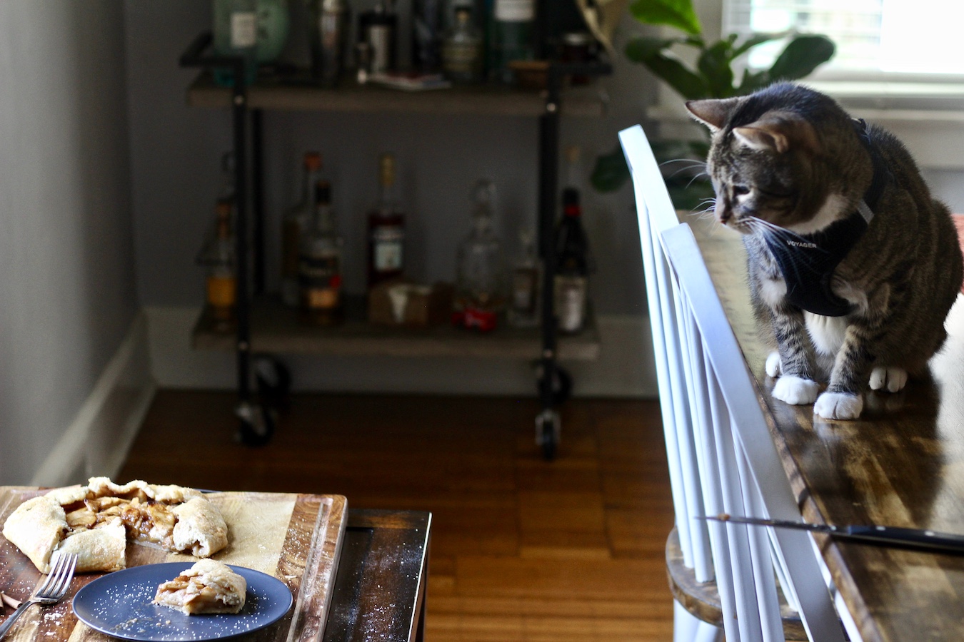 Mittens looking longingly at the apple galette on the wooden cutting board.