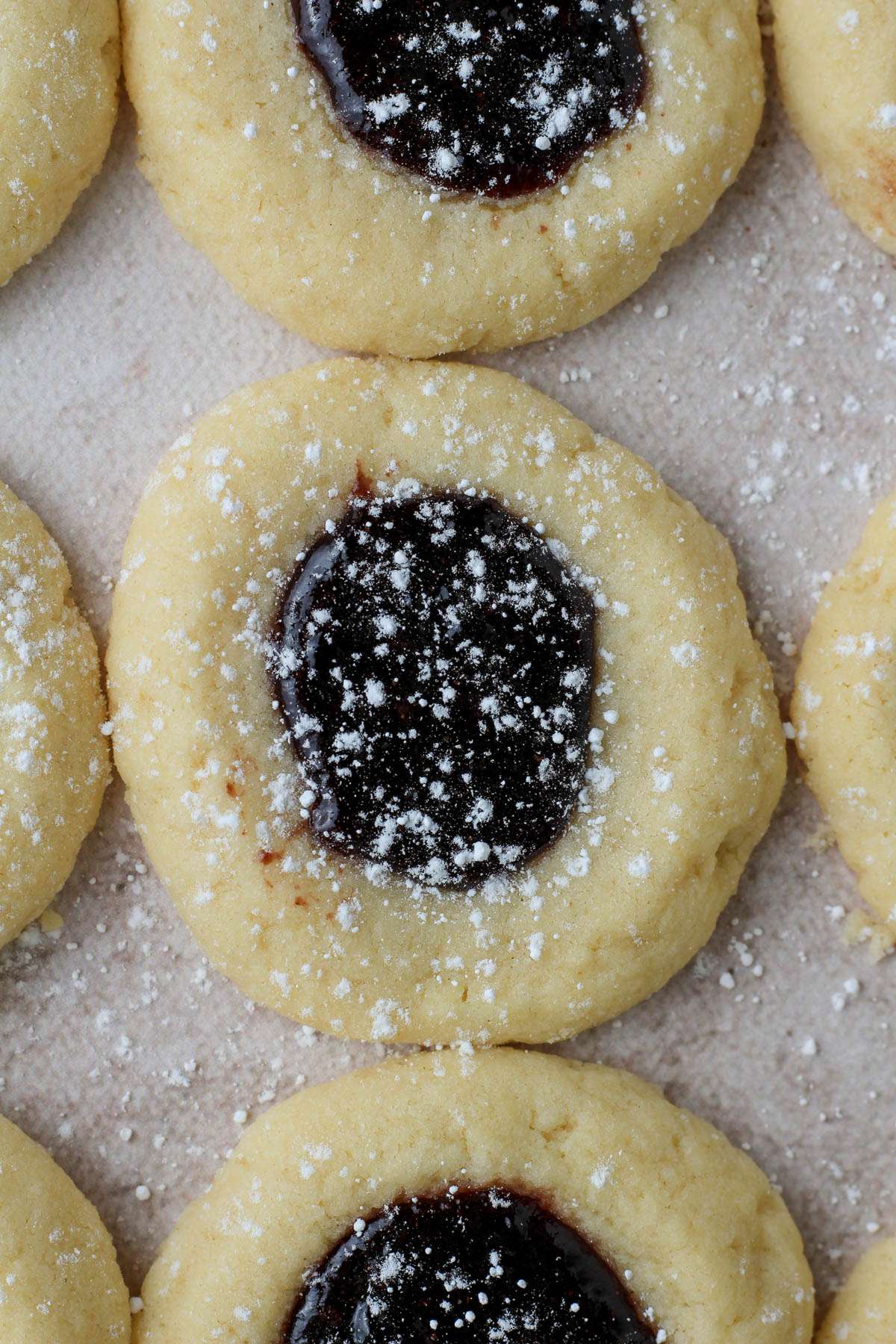 A close up of rows of spiced blackberry thumbprint cookies dusted with powdered sugar on a counter.