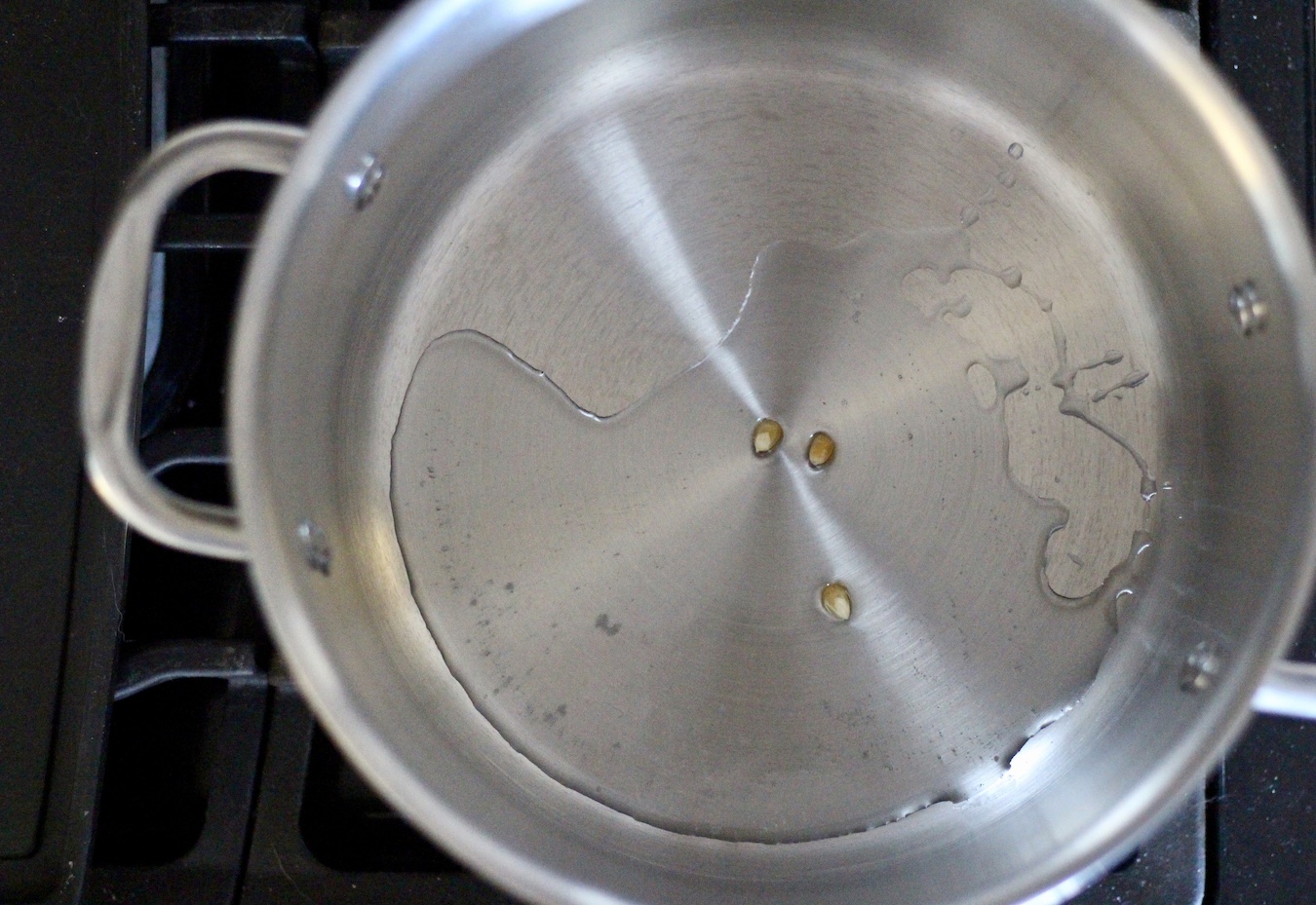 Coconut Oil in the base of a deep pot with three popcorn kernels.