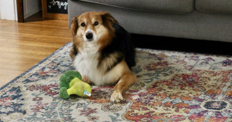 Sunday Smorgasbord Vol. 1