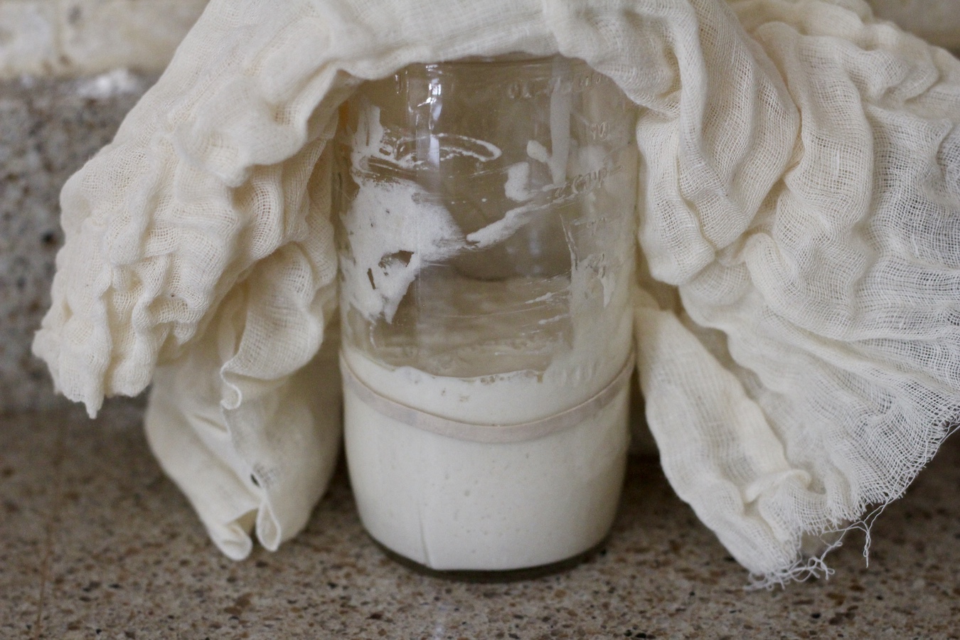 Sourdough starter in a glass jar with a cheesecloth.