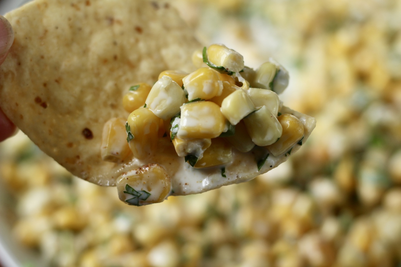 A tortilla chip with Mexican Street Corn Dip.