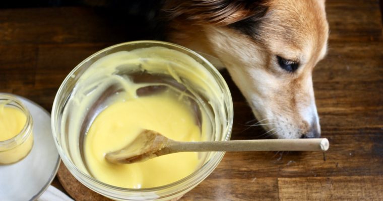 Sunday Smorgasbord Vol. 3