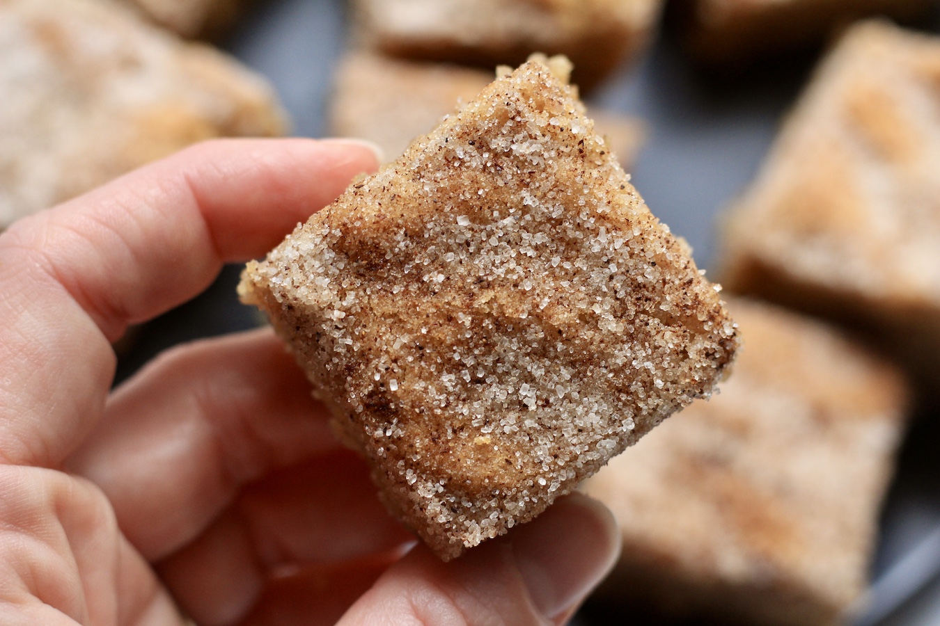 A hand holding one snickerdoodle cookie bar.