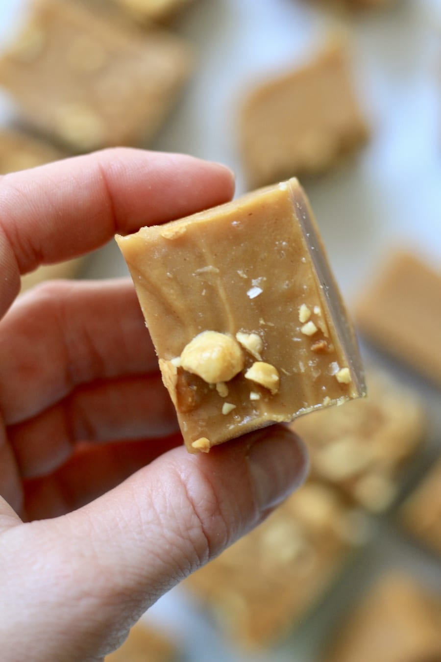 A hand holding a square of peanut butter fudge topped with chopped peanuts.