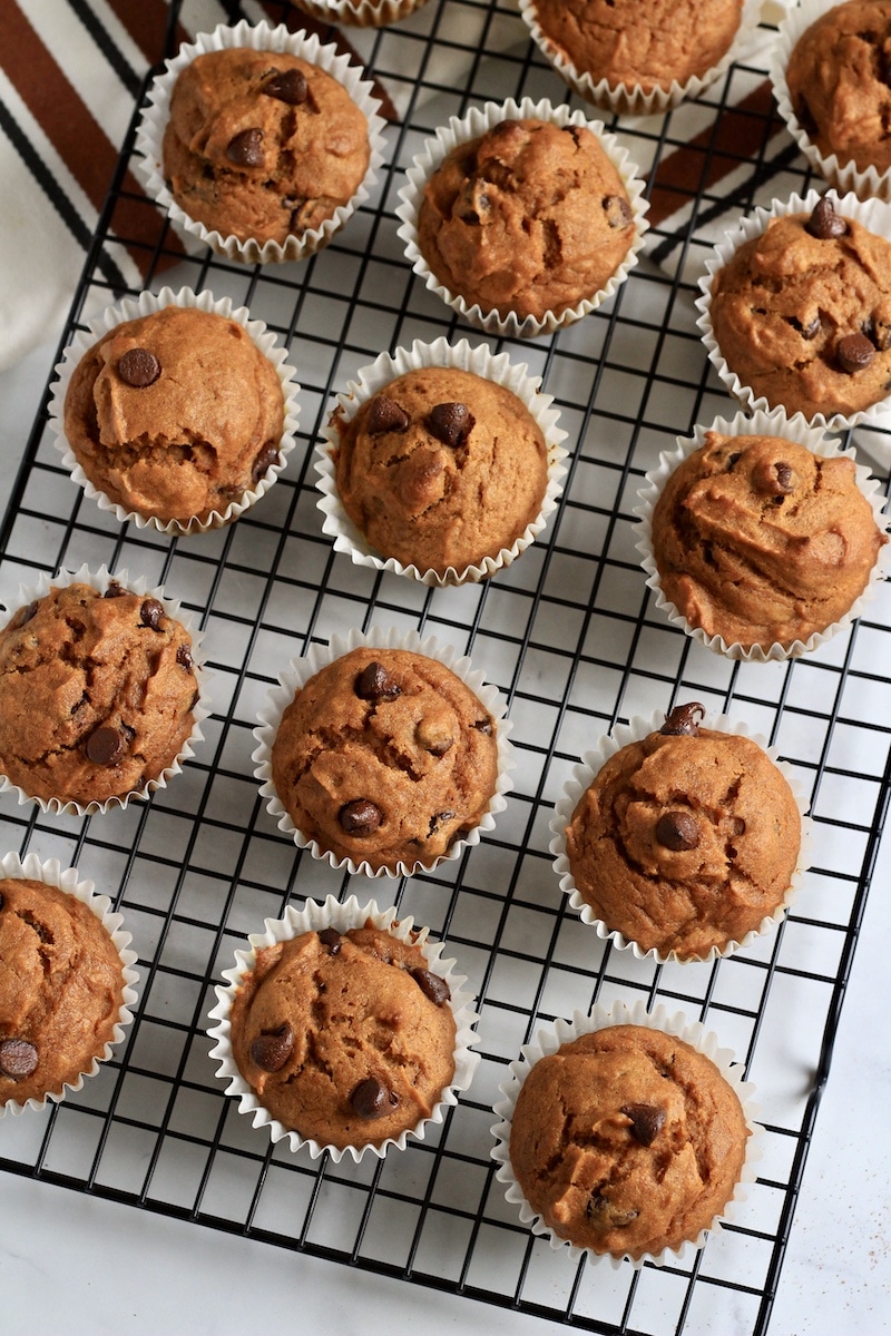 Rows of pumpkin chocolate chip muffins on a cooling rack.