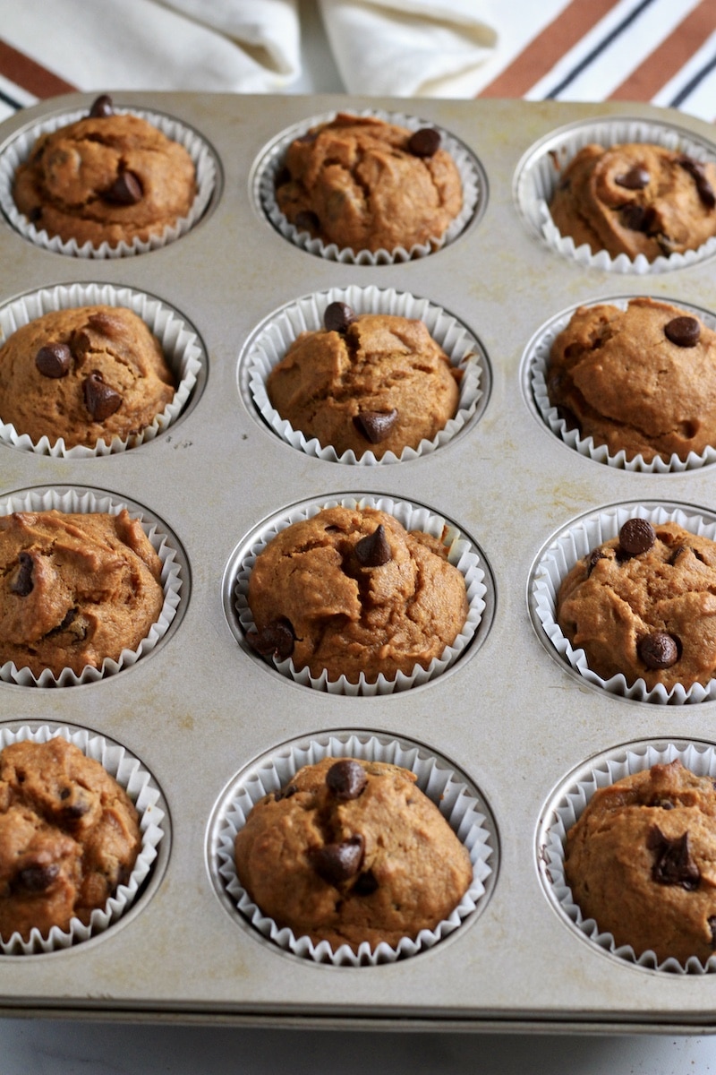 A standard silver muffin pan with rows of chocolate chip pumpkin muffins after baking.