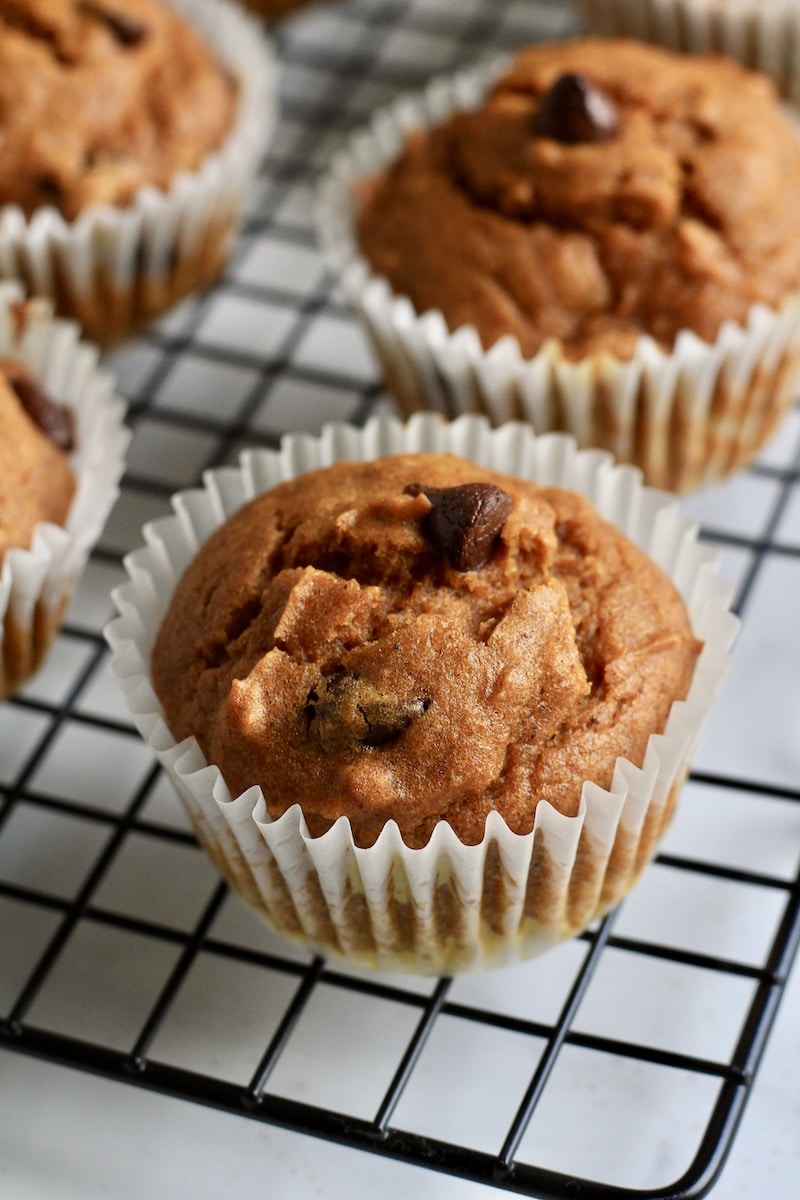 A pumpkin muffin with chocolate chips in a white wrapper on a black cooling rack.