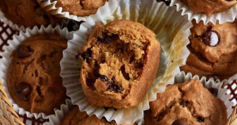 Pumpkin Chocolate Chip Muffins