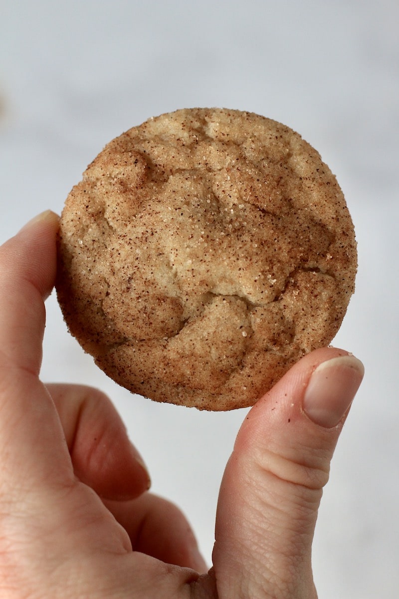 A hand holding a vegan snickerdoodle cookie.
