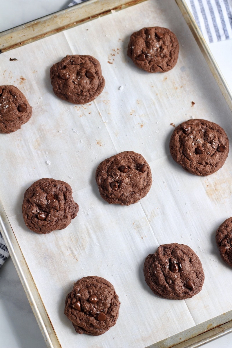 A baking sheet with double chocolate chip cookies after baking.