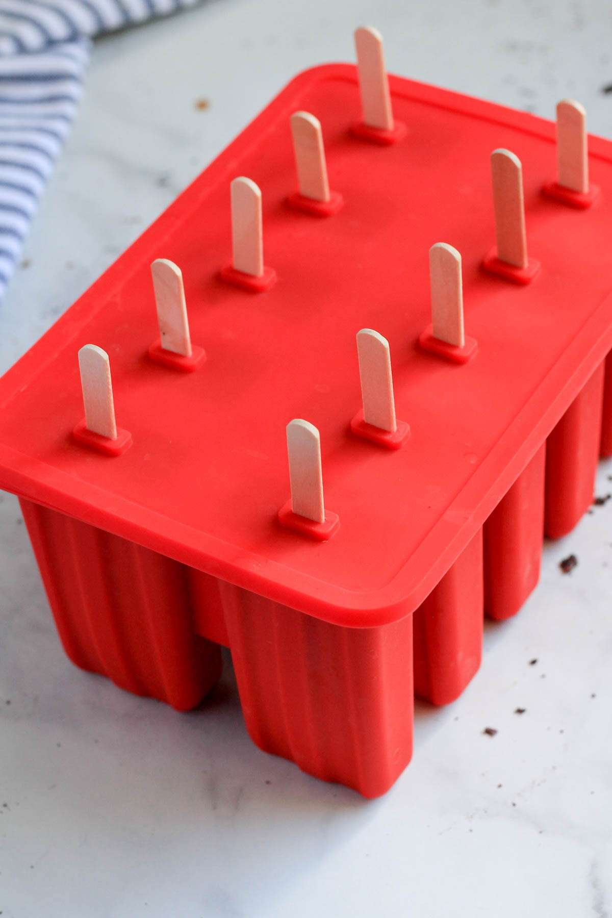 Popsicle mold with popsicle sticks ready for the freezer.