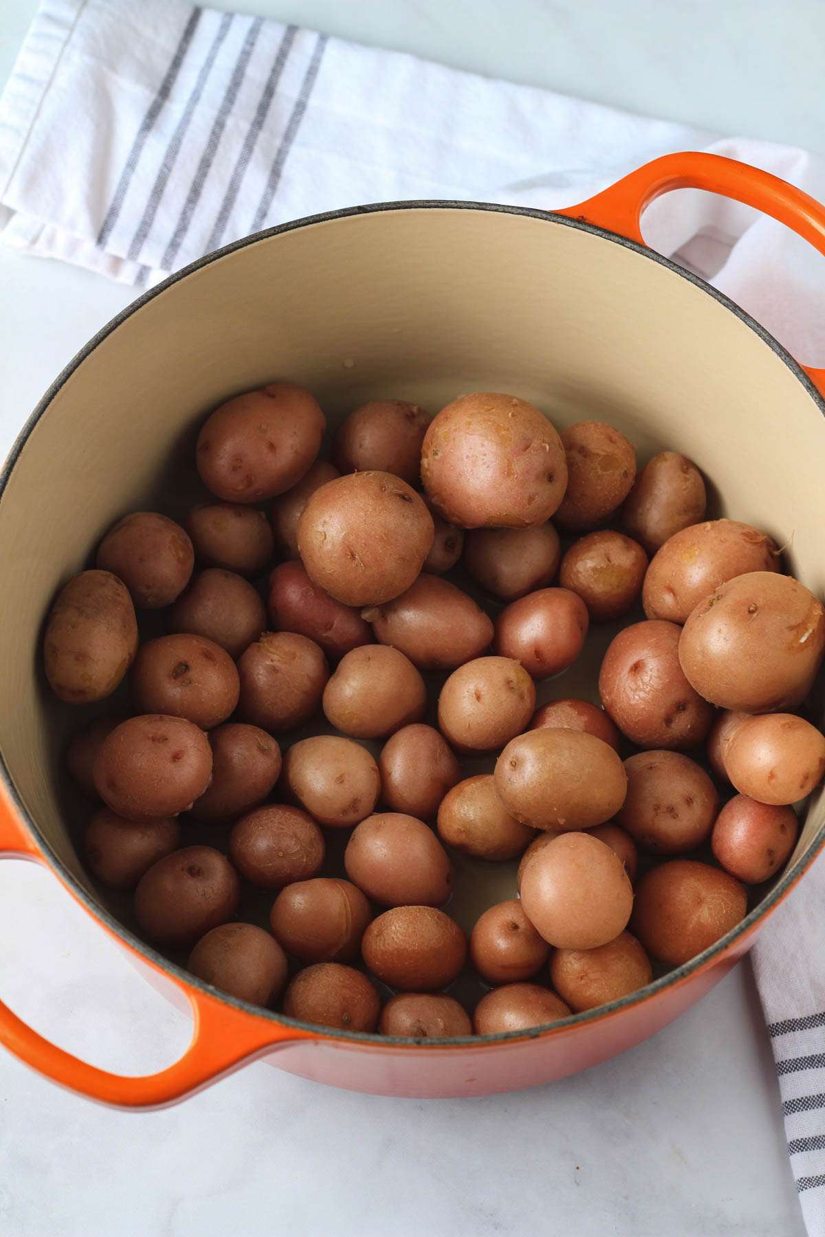 A large dutch oven filled with boiled small potatoes.