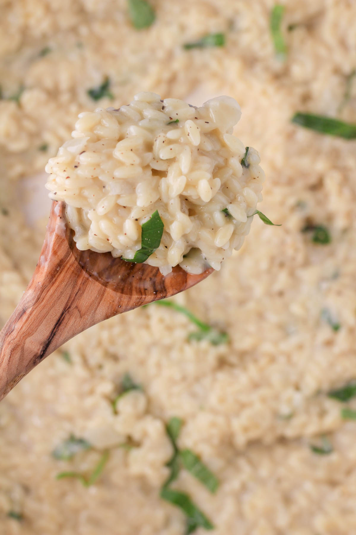 A wooden spoon of vegan creamy orzo pasta.