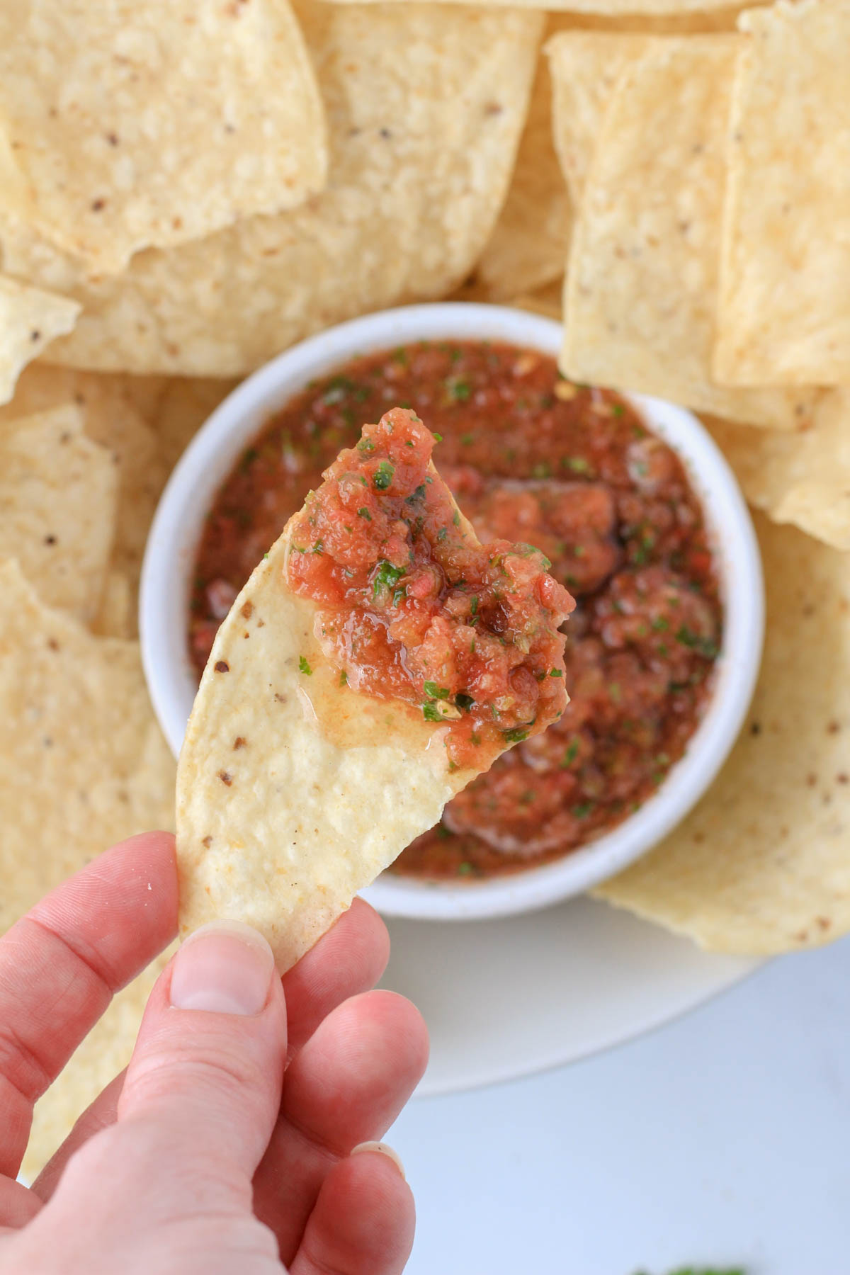 Easy Blender Salsa