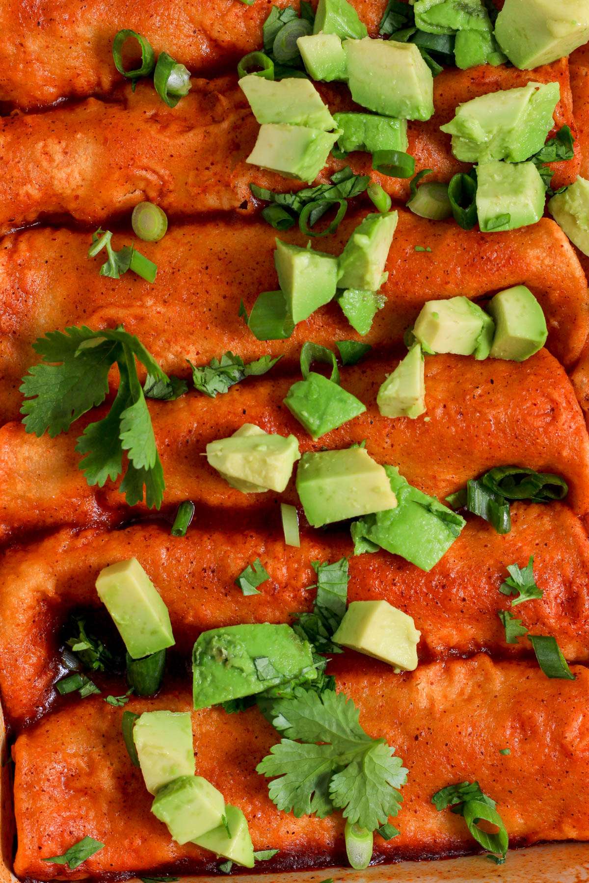 A close up of a pan of ground turkey enchiladas topped with avocado and cilantro and green onion.