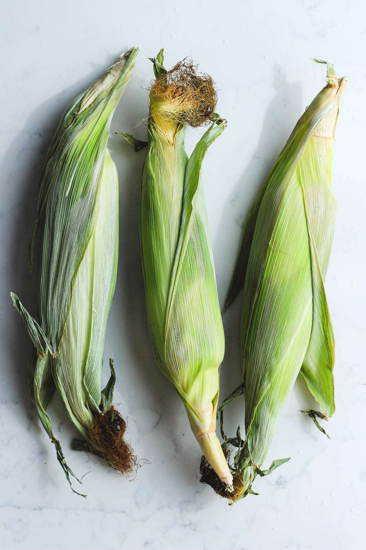 Three ears of corn on a white counter.