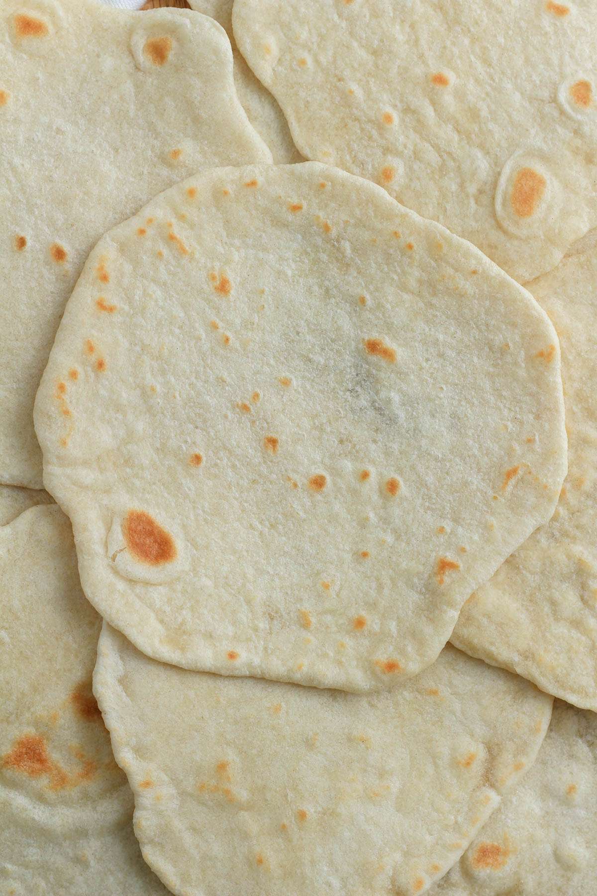 A counter covered in vegan flour tortillas.