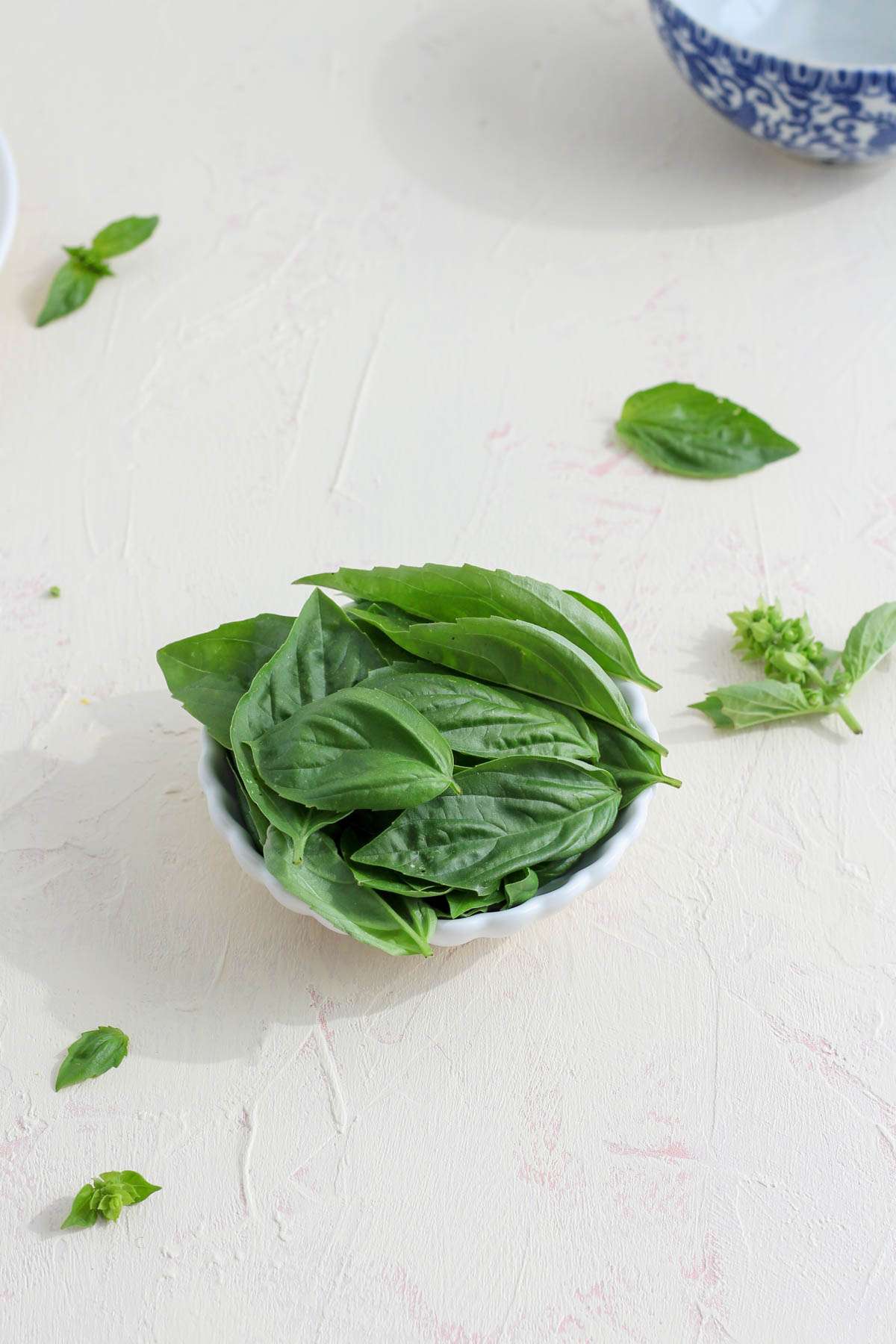 A small white bowl with fresh basil leaves on a white counter.
