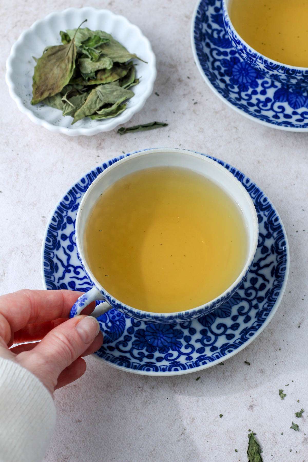 A hand holding a blue and white cup and saucer of dried basil tea.
