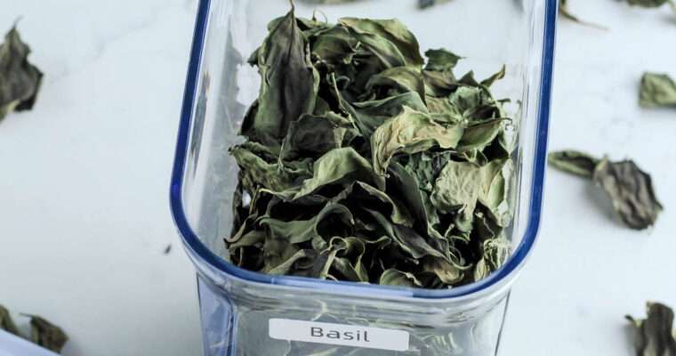 How to Dry Fresh Basil