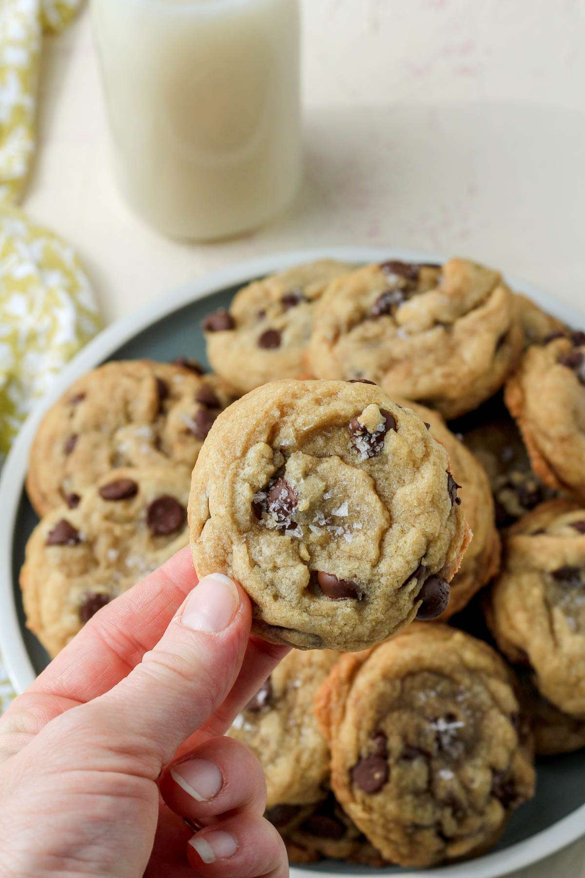 A hand holding up a coconut oil based chocolate chip cookie over a green and white plate of cookies.