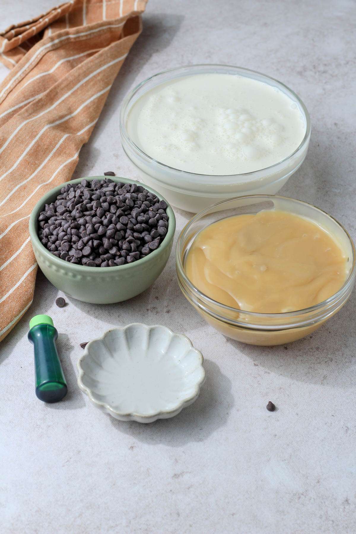 Ingredients for vegan mint chocolate chip ice cream.