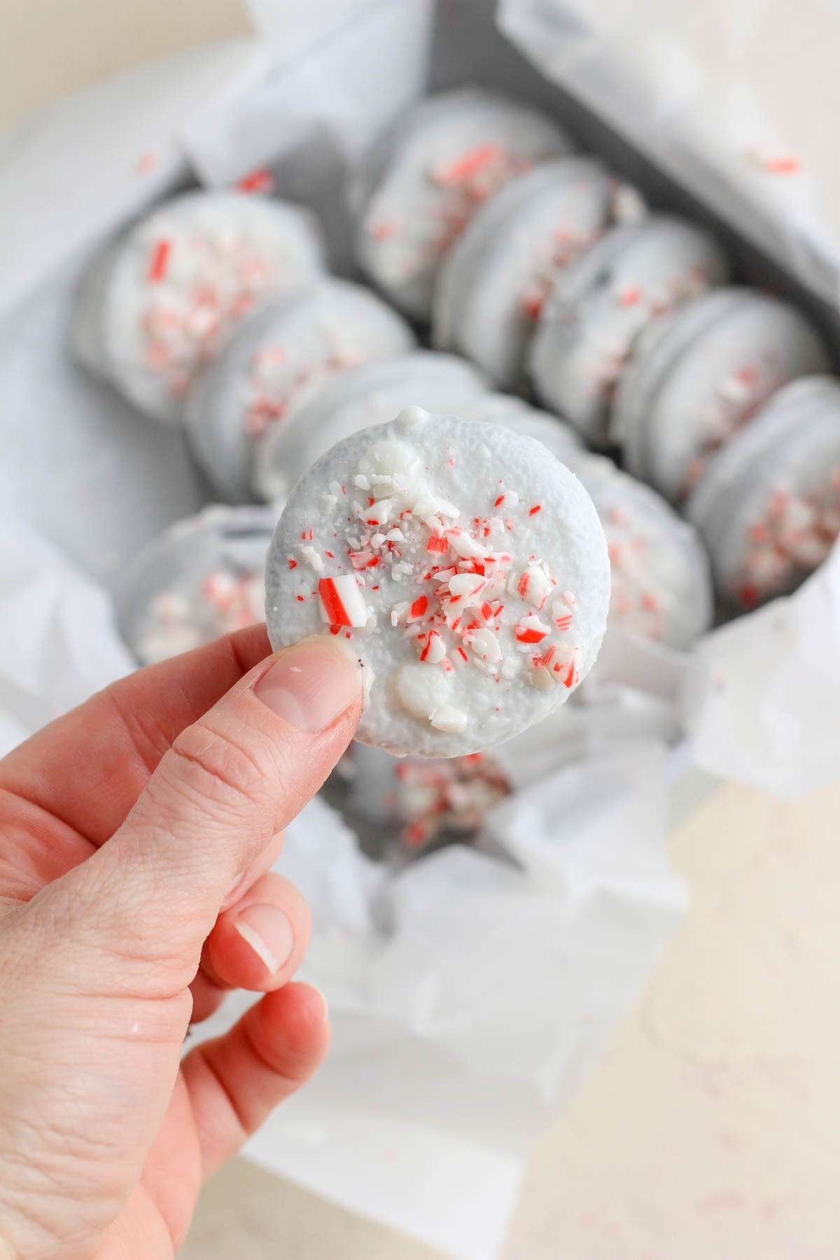 A hand holding a peppermint white chocolate dipped oreo over a box of peppermint oreos.
