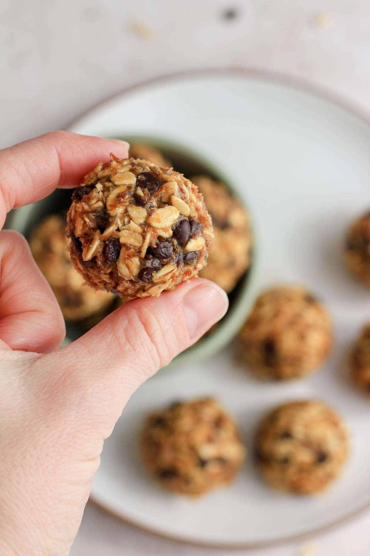 A hand holding a dairy-free lactation bite over a white plate with a brown rim.