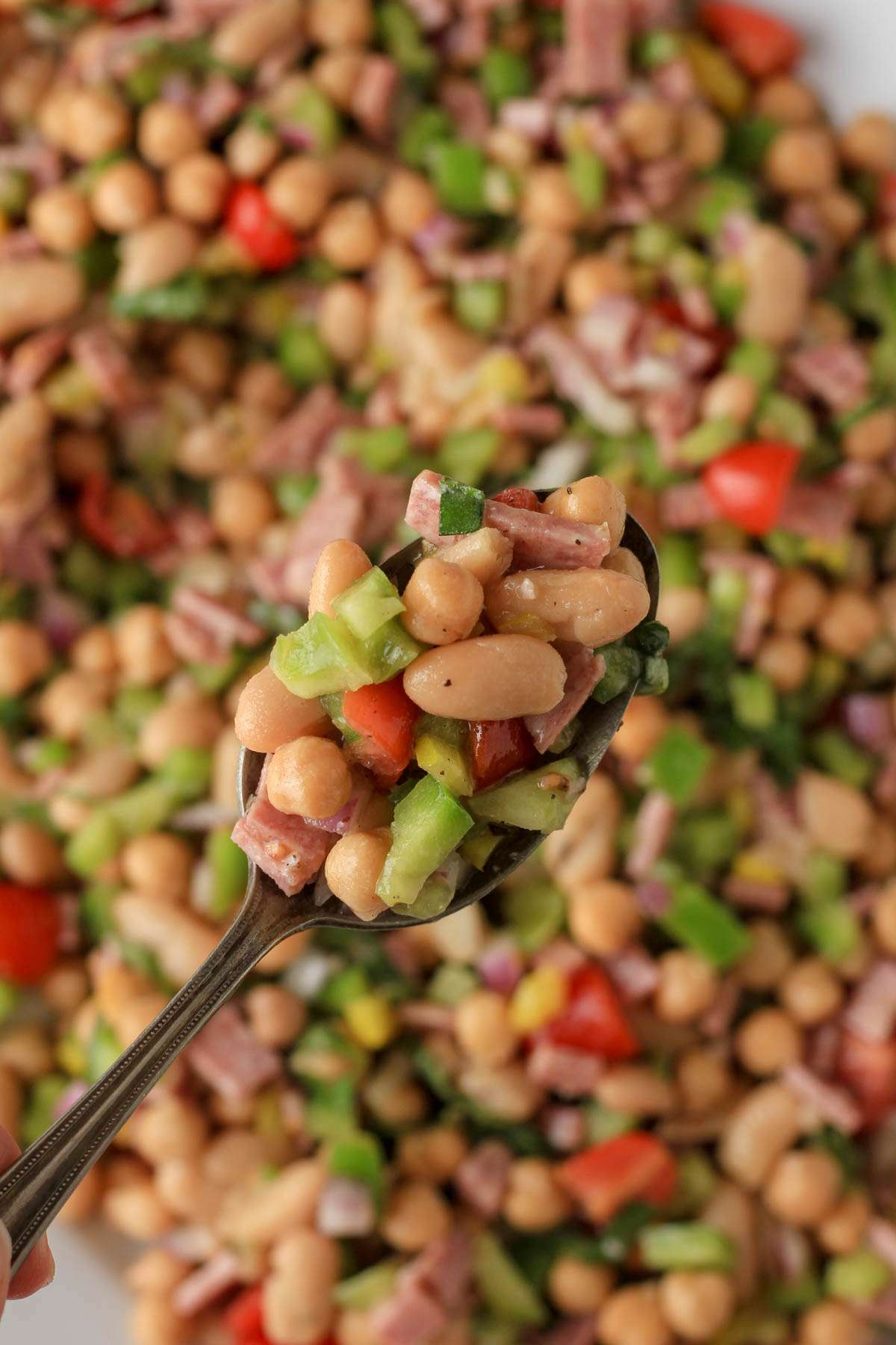 A close up of a spoon scooping the Italian grinder bean salad over a large plate.